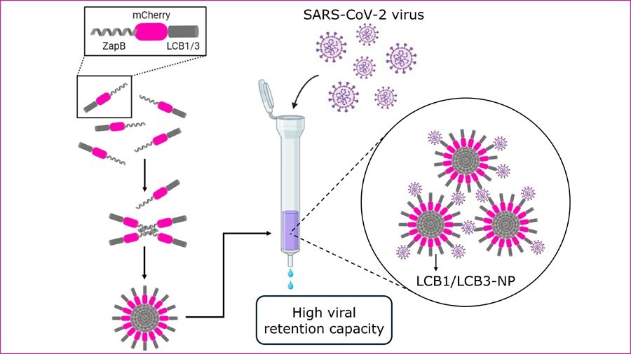 Nanoparticle-Enabled Rapid and Sensitive COVID-19 Detection