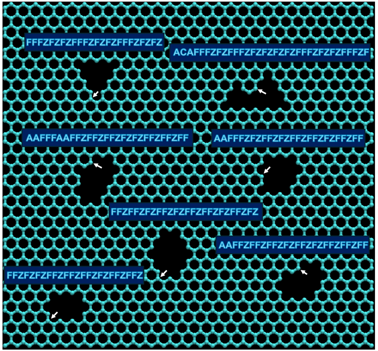 A selection of nanopores that could be present in graphene along with their STRONG-based names. The white arrow indicates the starting atom and each STRONG is written by traversing the nanopore rim atoms in an anti-clockwise direction