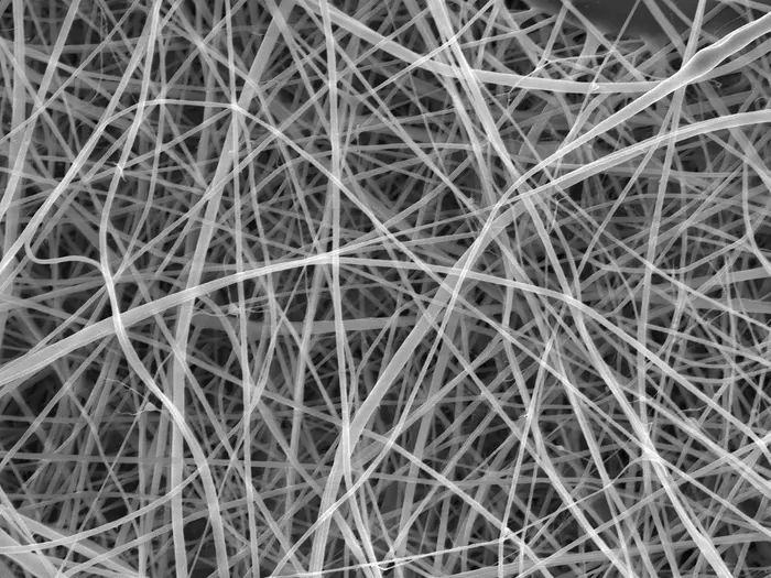 Image of the Fibers