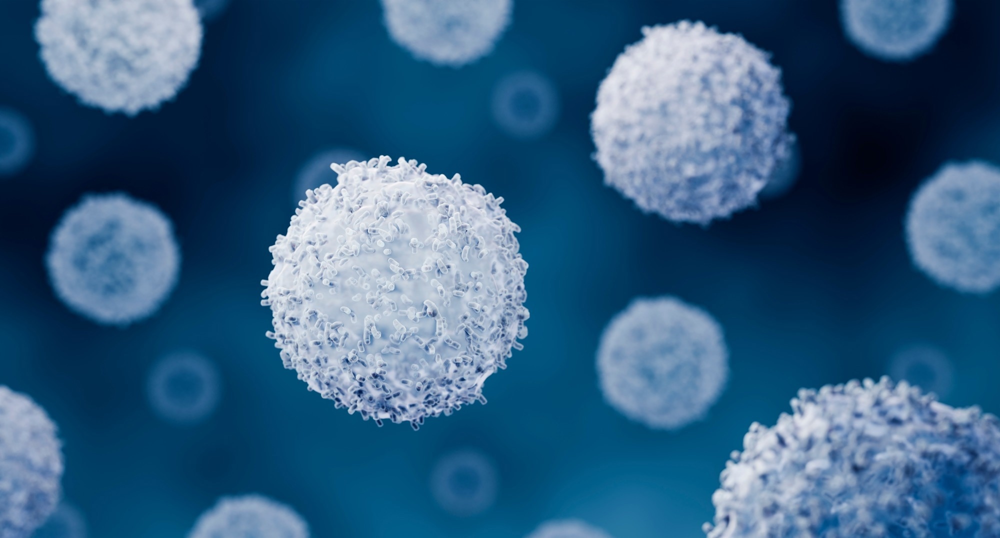 Illustration of B and T cells