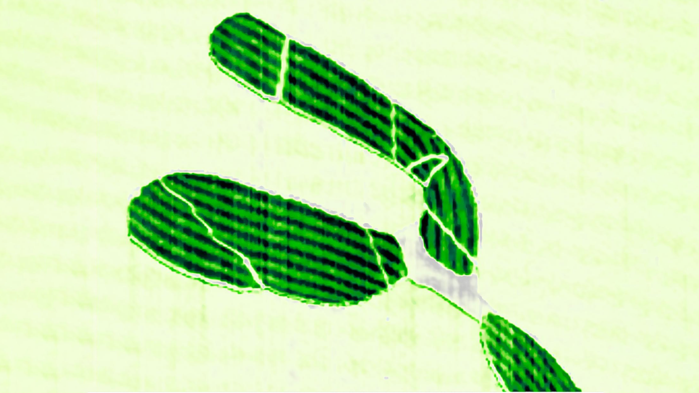 Conductive AFM image of ABA/ABC stripes in three-layer epitaxial graphene.