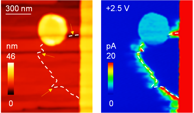 Brain-Inspired Nano-Tech Promises New Era for Electronics