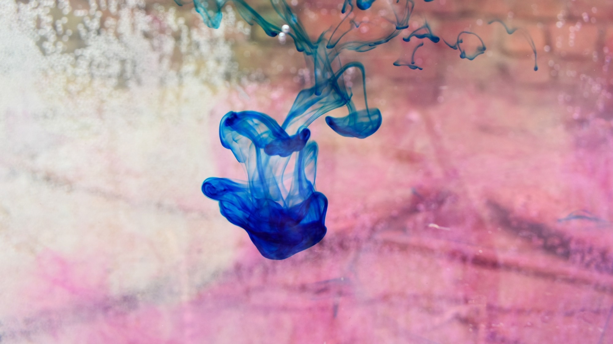 Methylene blue slowly falling into the water tank with pink background.