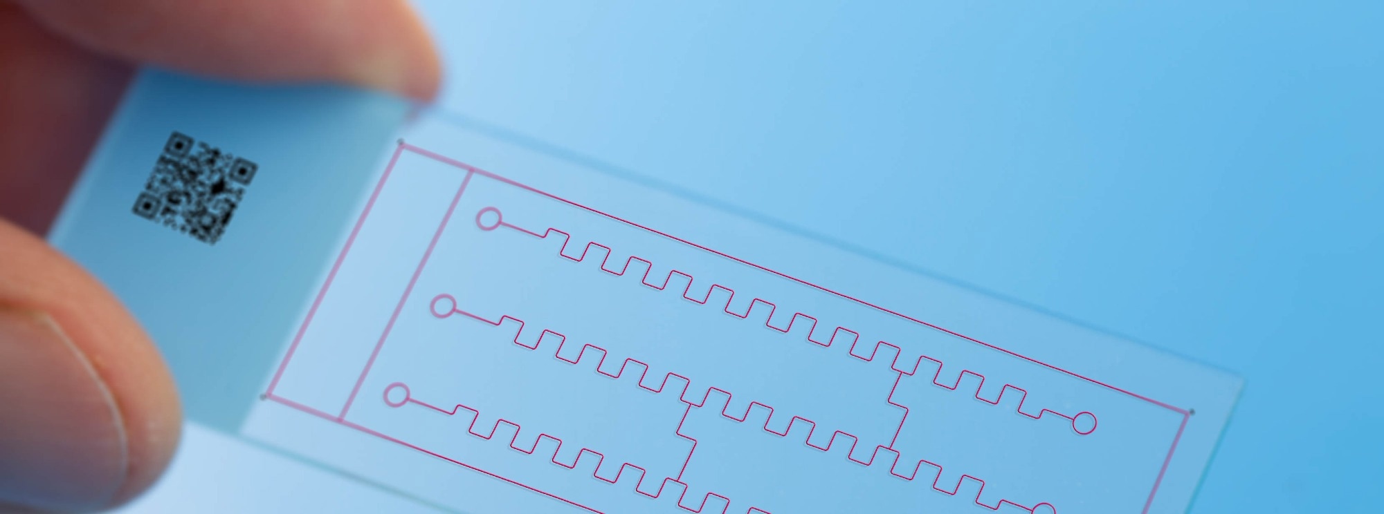 Close-up of a transparent microfluidic chip with red fluidic channels held by a hand, set against a light blue background.