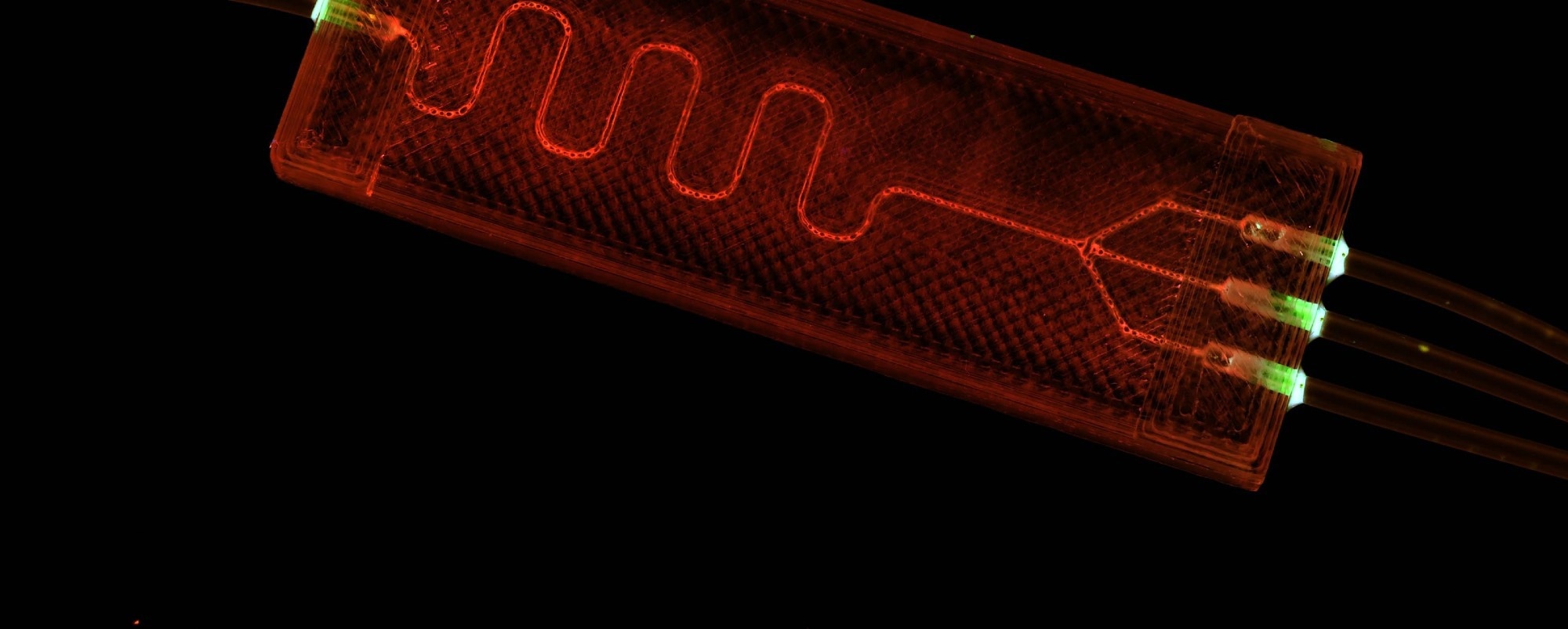 Fluorescent microfluidic device with illuminated red and green fluidic channels, showcasing a system designed for studying tumor cell interactions and extracellular matrix dynamics
