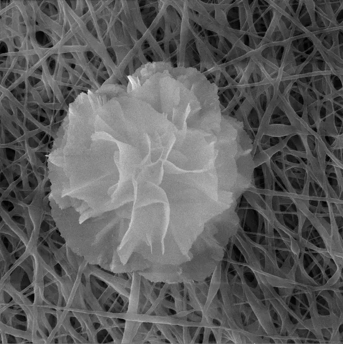 This elegant nanoflower adds antioxidant, antibacterial, and antibiofilm properties when applied to electrospun nanofiber bandages.