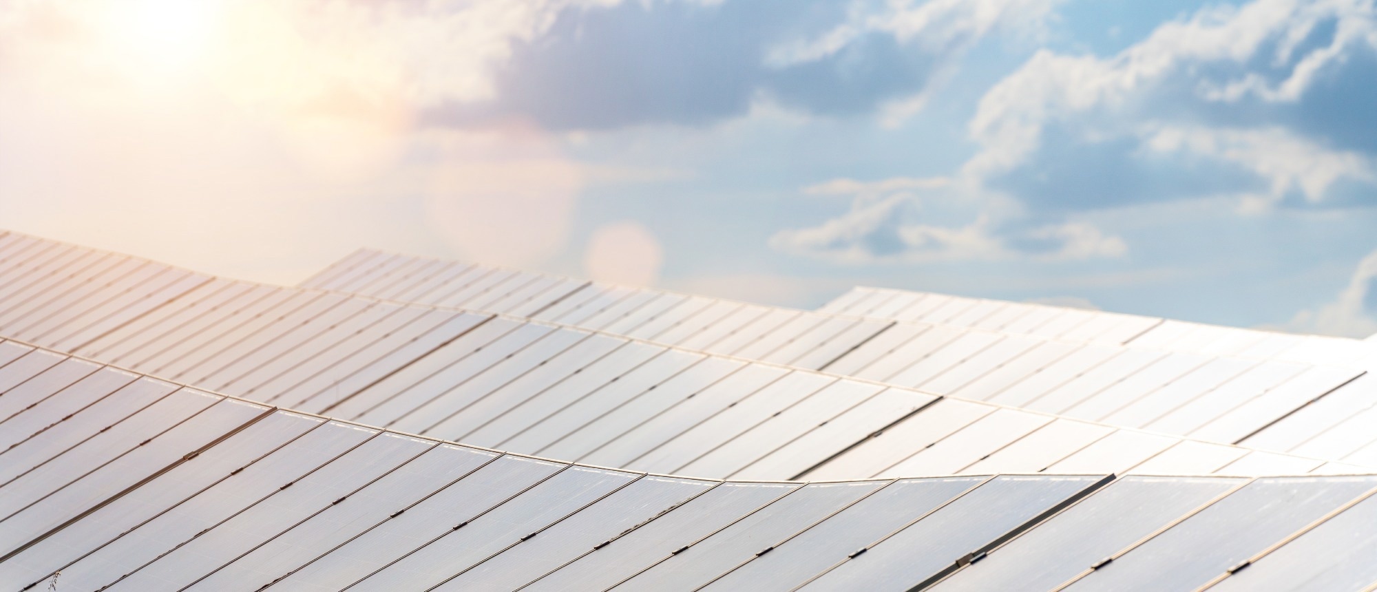 Modern perovskite high performance solar cell park for high efficient photon recycling