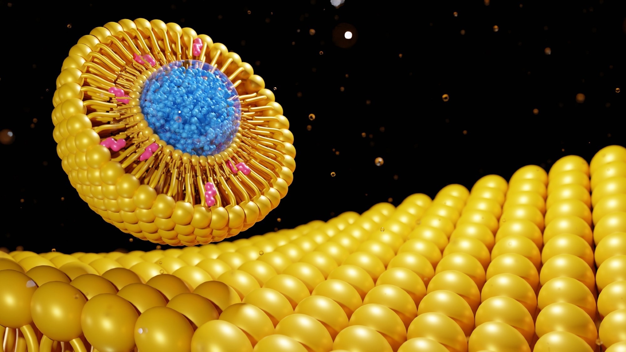 A 3D-rendered illustration of a cationic fusogenic liposome approaching a cellular membrane. The liposome consists of a bilayer structure with golden lipid molecules forming the outer shell and blue molecules representing the encapsulated cargo. Small pink molecules are embedded in the liposome’s membrane. The cellular membrane, depicted in gold, consists of a tightly packed layer of lipid molecules.