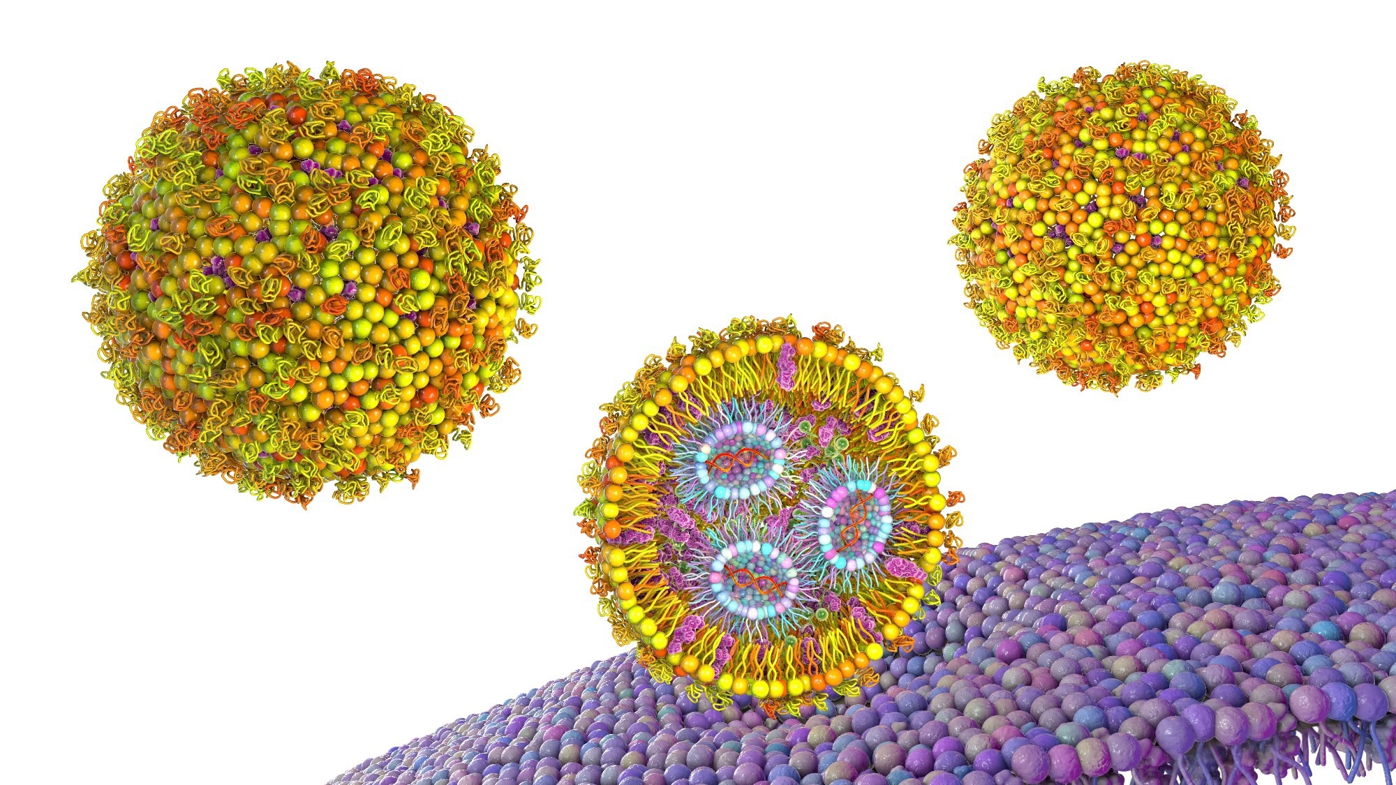 A 3D illustration showing molecular structures of liposomes, with colorful spheres representing lipid bilayers and molecules. The liposomes are depicted as spherical structures with complex molecular components, possibly representing their role in drug delivery or biological processes.