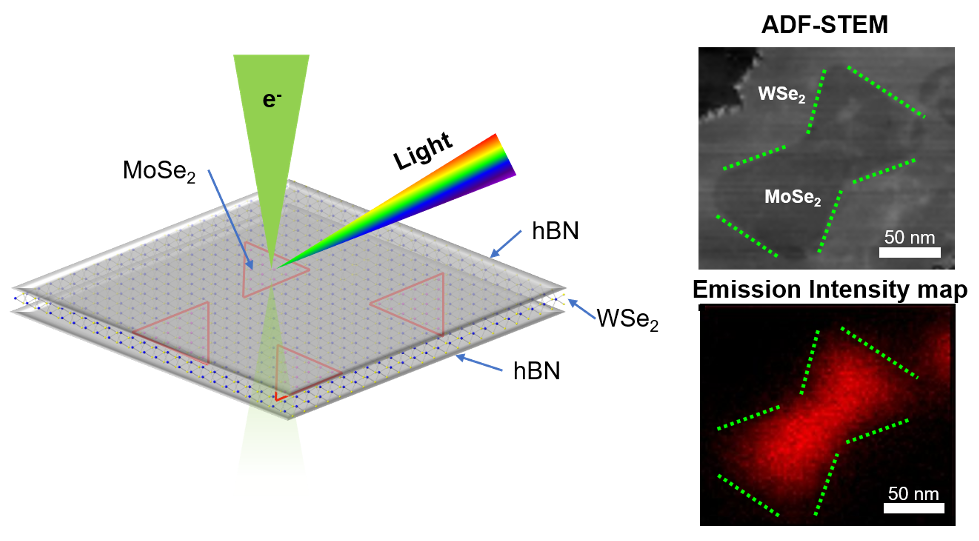 On the left is an illustration of the experimental setup from this study. Molybdenum diselenide nanodots, represented by red triangles, are embedded in tungsten diselenide and encapsulated by hexagonal boron nitride (hBN) on top and bottom. A focused electron beam, shown in green, in a scanning transmission electron microscope (STEM) is aimed at the structure. The emitted light is collected to generate an intensity map. On the upper right is a dark-field STEM image of the molybdenum diselenide nanodot embedded inside tungsten diselenide. The contour of the nanodot is marked by dotted green lines. On the lower right is an artificially colored light emission intensity map of the same region, with the localized emission from the nanodot visible.