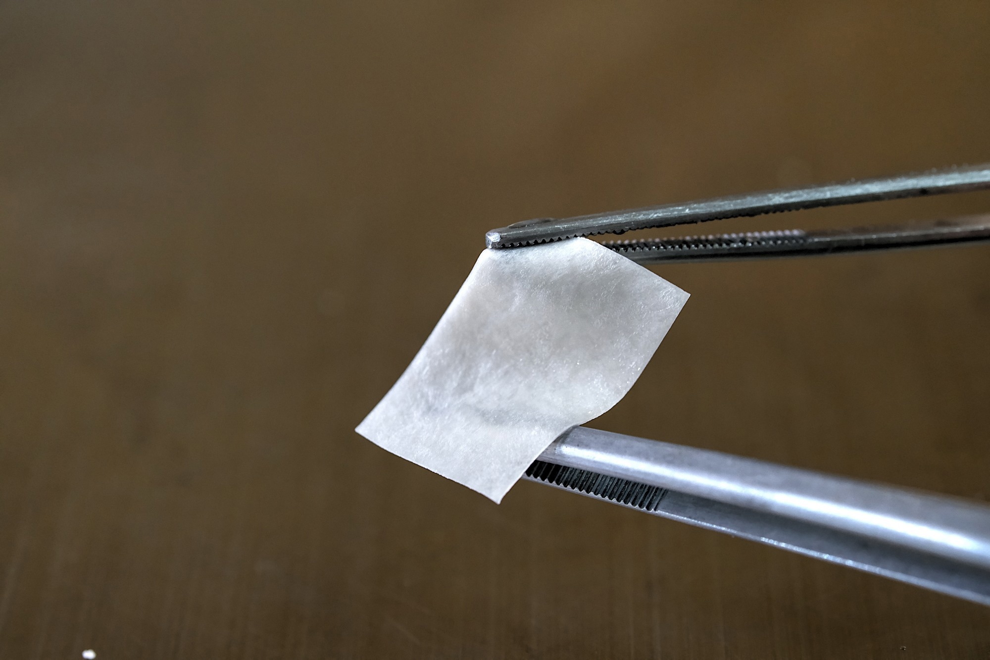 A close up photograph of guided bone regeneration or guided tissue regeneration