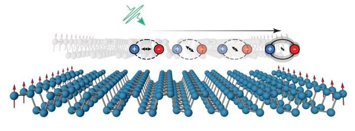 A schematic of the photoexcited dipole dynamics in phosphorene nanoribbons, where following photoexcitation the excited state relaxes to the ribbon edge. Here, the excitation is coupled to a symmetry forbidden edge phonon mode and is where the magnetism is likely present.