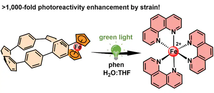 Diagram showing a >1,000-fold increase in photoreactivity due to strain. The image illustrates a strain-induced transformation where a green light activates the release of iron (Fe) from a strained organometallic structure, accompanied by the interaction with phenanthroline (phen) and solvents (H2O:THF).