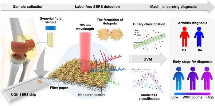 Sea Urchin-Shaped Nanostructures Enable Ultra-Fast Arthritis Testing