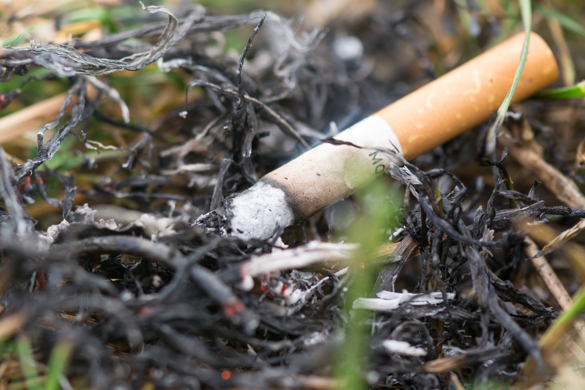 Cigarette causing a dangerous fire on the forest