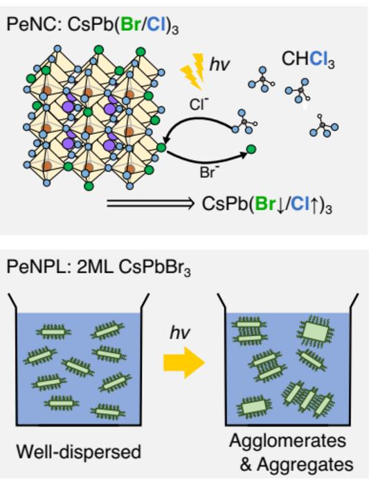 Breakthrough for Observing Light-Sensitive Materials