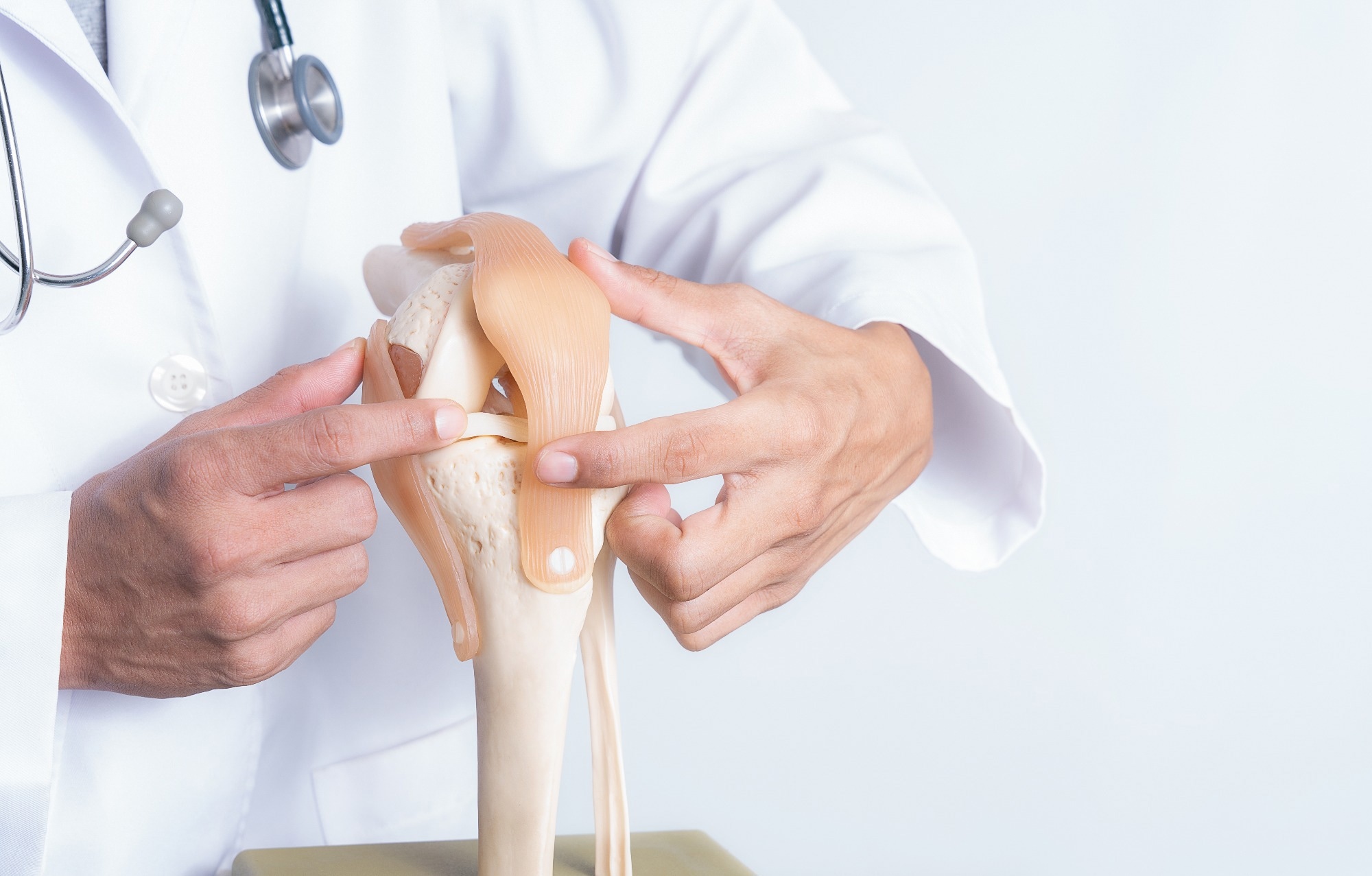 Doctor pointed on area of model knee joint.
