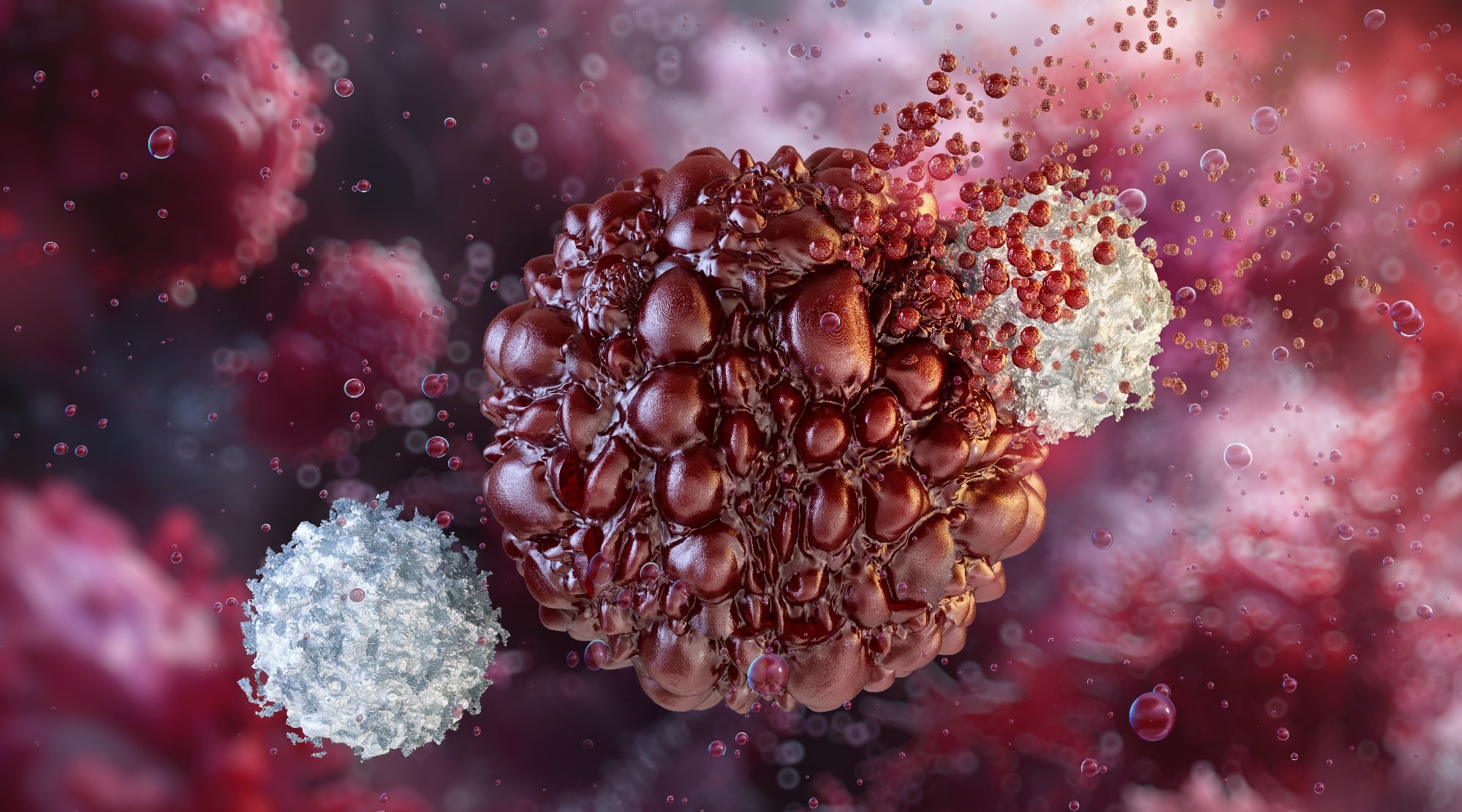 Study Delivers Cancer Drugs Directly to the Tumor Nucleus