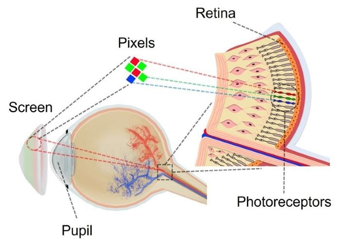 Minimal Pixels Achieve the Highest Possible Resolution Visible to the Human Eye