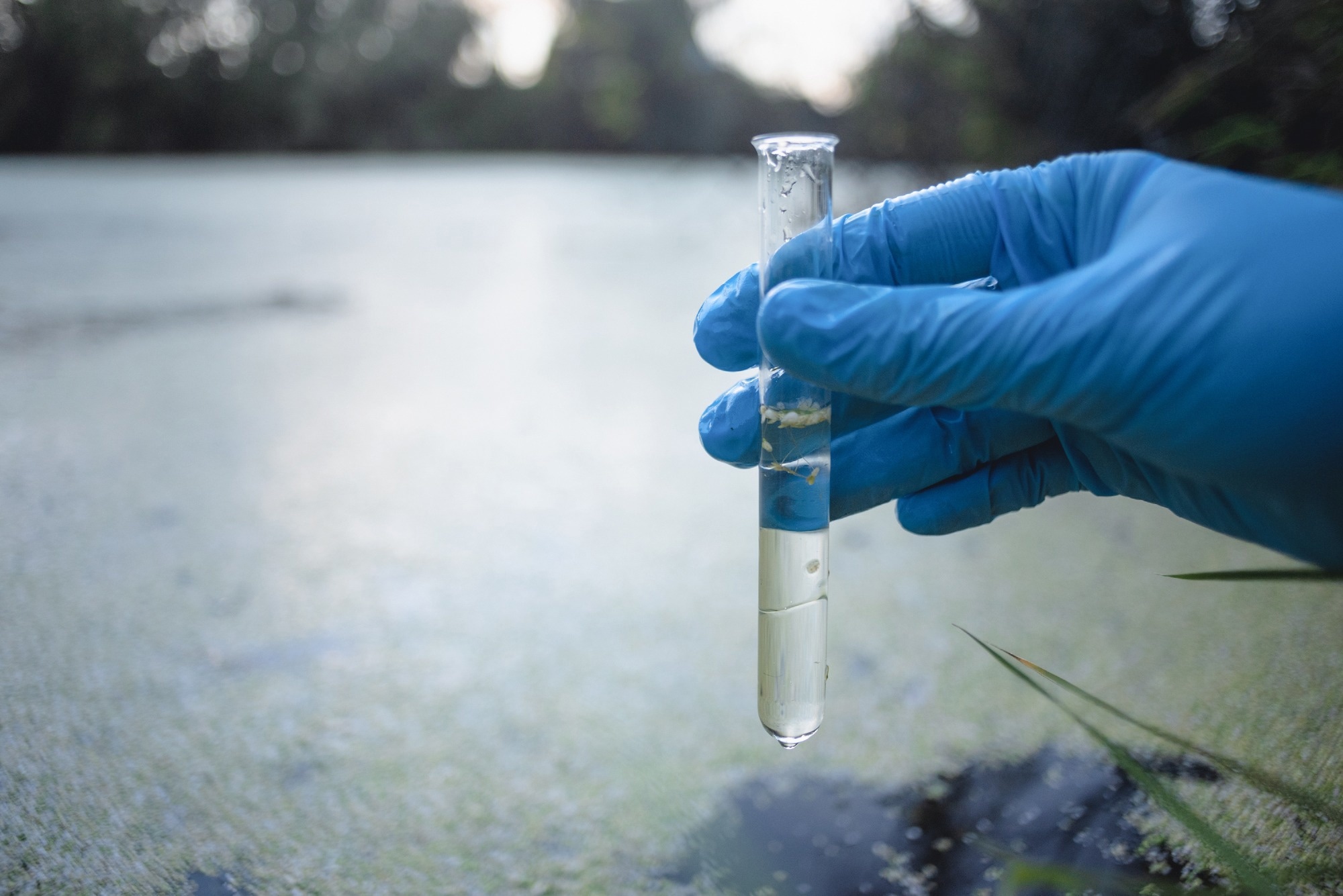 Magnetic Nanocarbon Composite Cleans Chernobyl’s rWastewater