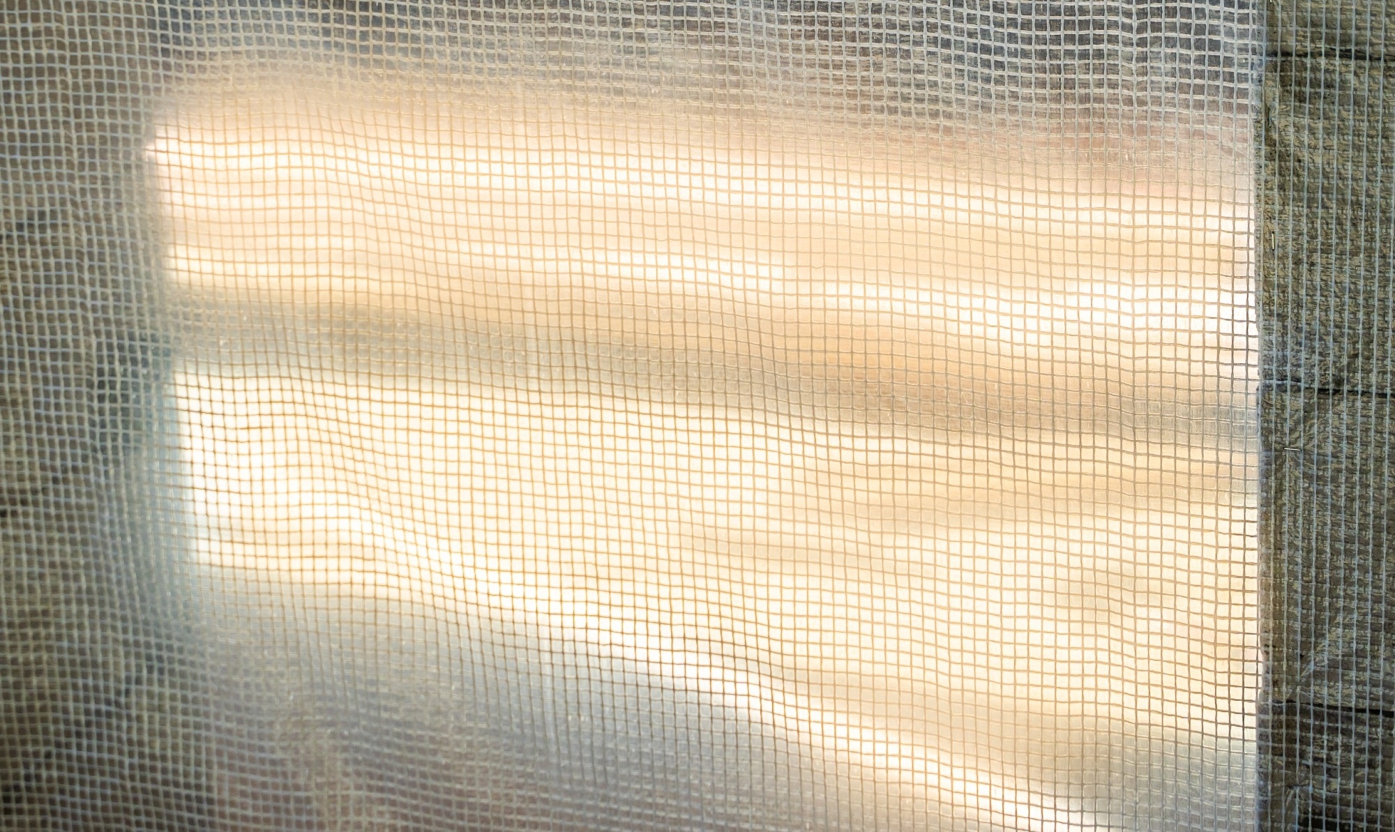 Laser-Written Nanostructures for Scalable Thermal Management