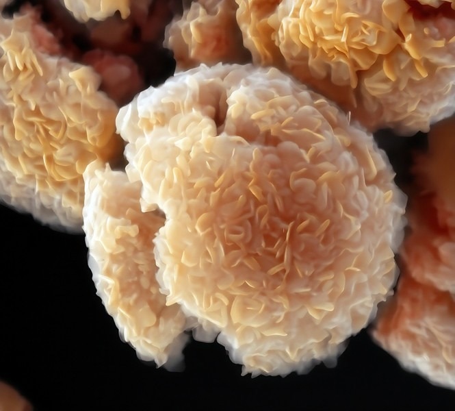 Safer, Cheaper Method for Creating Futuristic MXenes