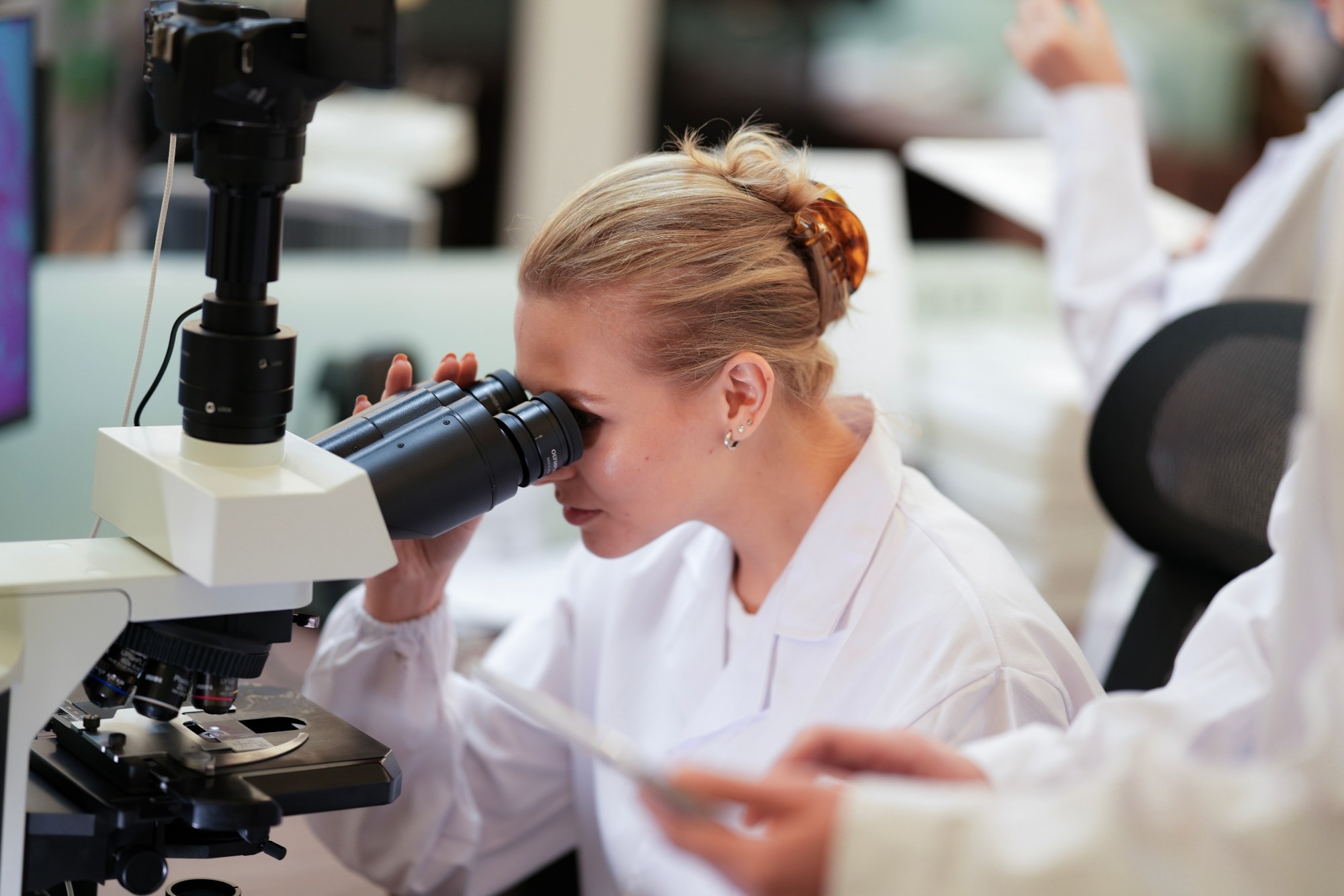 Curcuma longa Starch for Effective Green Synthesis of Cerium Oxide Nanoparticles