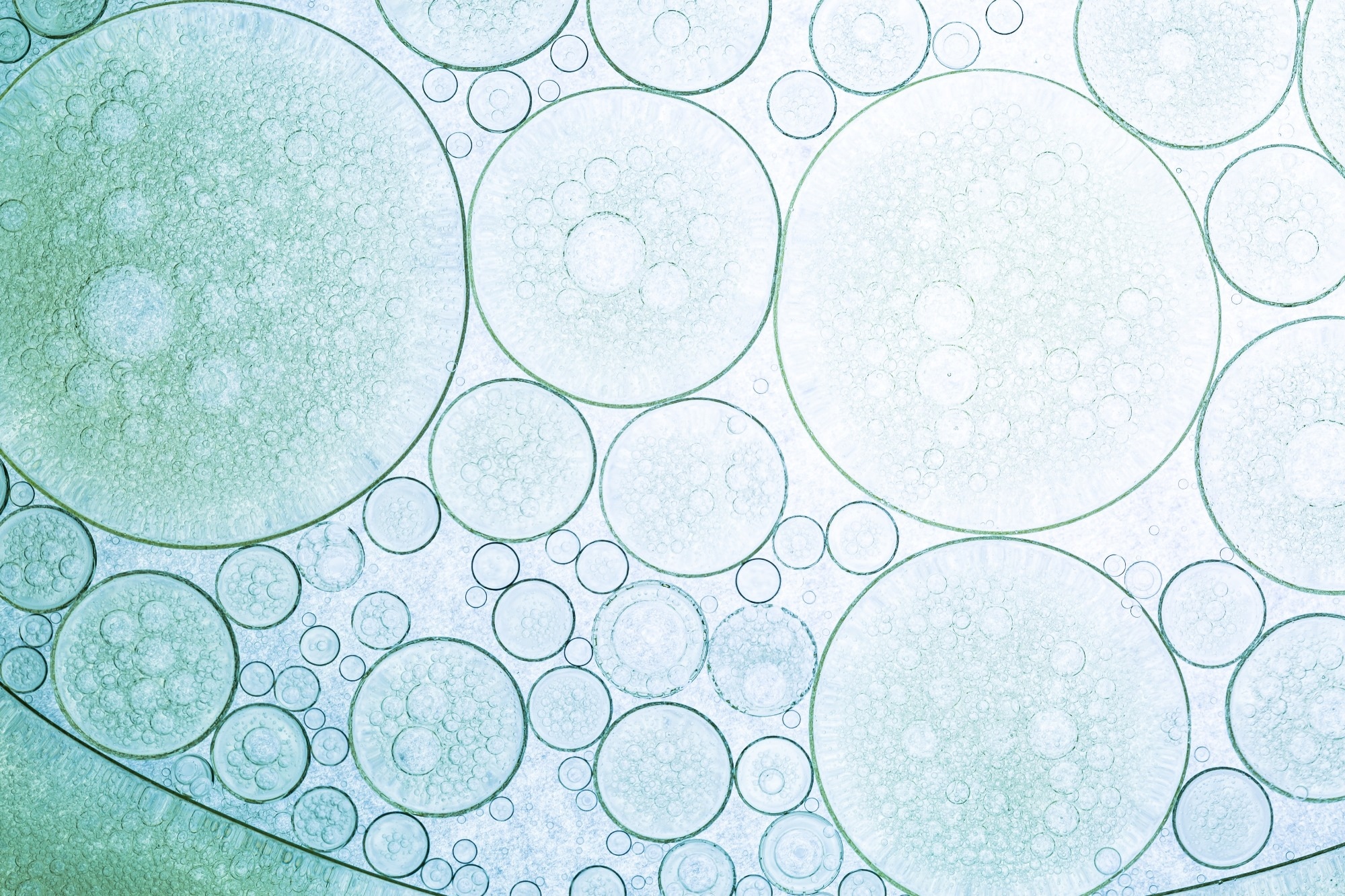 Vector image illustrating cells.