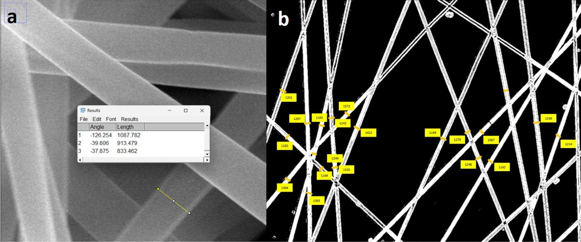 AI Helps Researchers Measure Nanofibers Beyond Diameter Alone