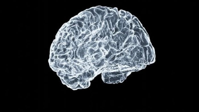 Graphene Quantum Dots Show Promise in Targeting Parkinson's-Related Protein Clumping