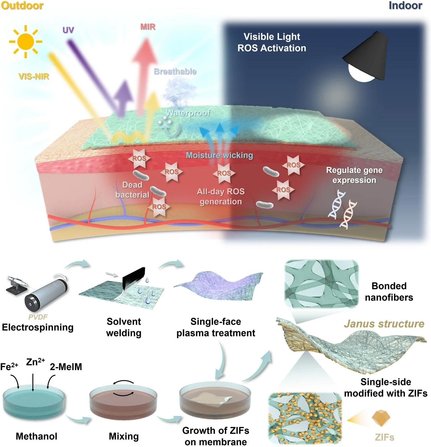 Schematic diagram of the bionic cooling skin design: a Janus structure, good breathability, antibacterial property, and passive cooling performance for accelerating infected wound healing.