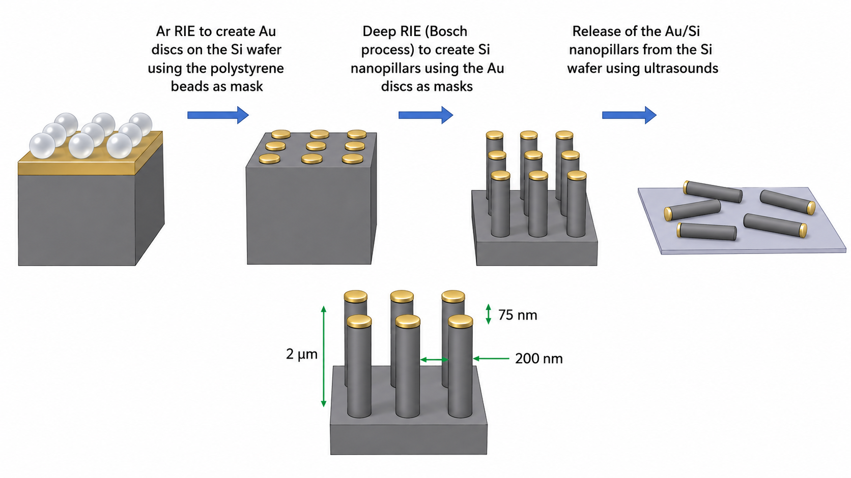 Schematic of Si/Au nanopillar fabrication. Ar RIE to create Au nanodiscs on the Si wafer using polystyrene beads as masks. Deep RIE (Bosch process) to form Si nanopillars using the Au discs as masks. Release of the Au/Si nanopillars from the Si wafer by ultrasonication and schematic of the dimensions. Image Credit: Adapted from Costa-Ledesma, V., del-Pozo-Bueno, D., Coll, C. et al. (2026). Highly efficient machine learning strategy for low-loss EELS characterization: nanophotonic resonances as a case study. npj Computational Materials. DOI: 10.1038/s41524-026-02171-1. Licensed under CC BY 4.0.