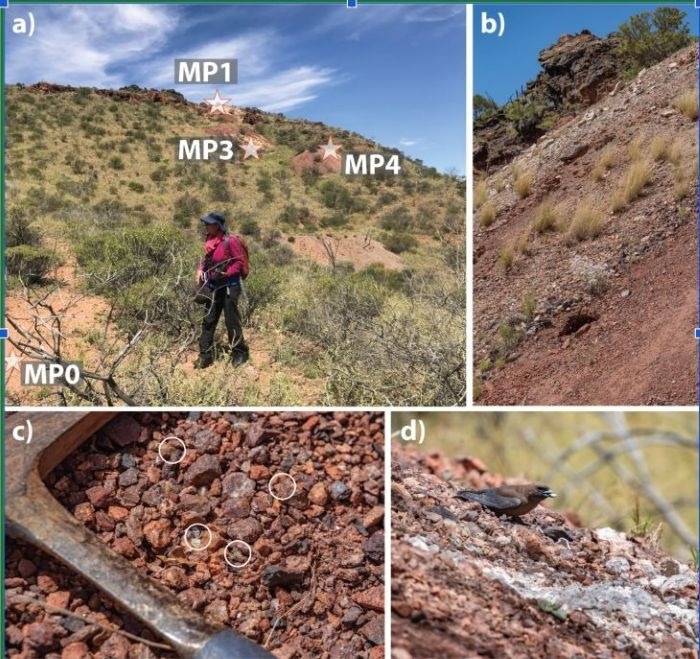 Invisible Microbes ‘Mining’ Toxic Waste in the Flinders Ranges