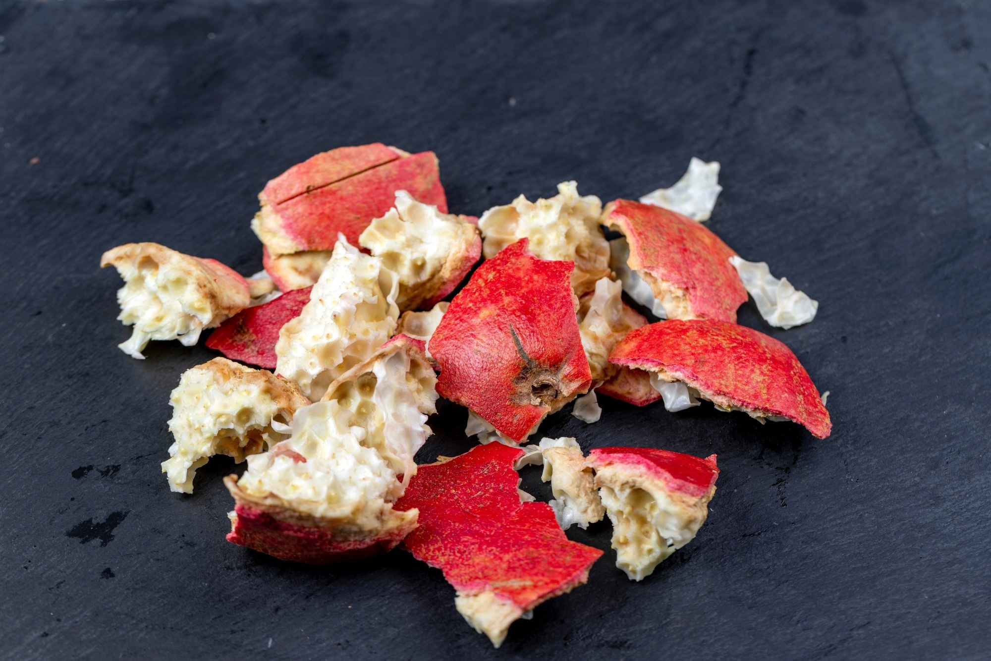 Pomegranate Peel Nanomaterials Give TiO₂ New Control Over CO₂ Reduction