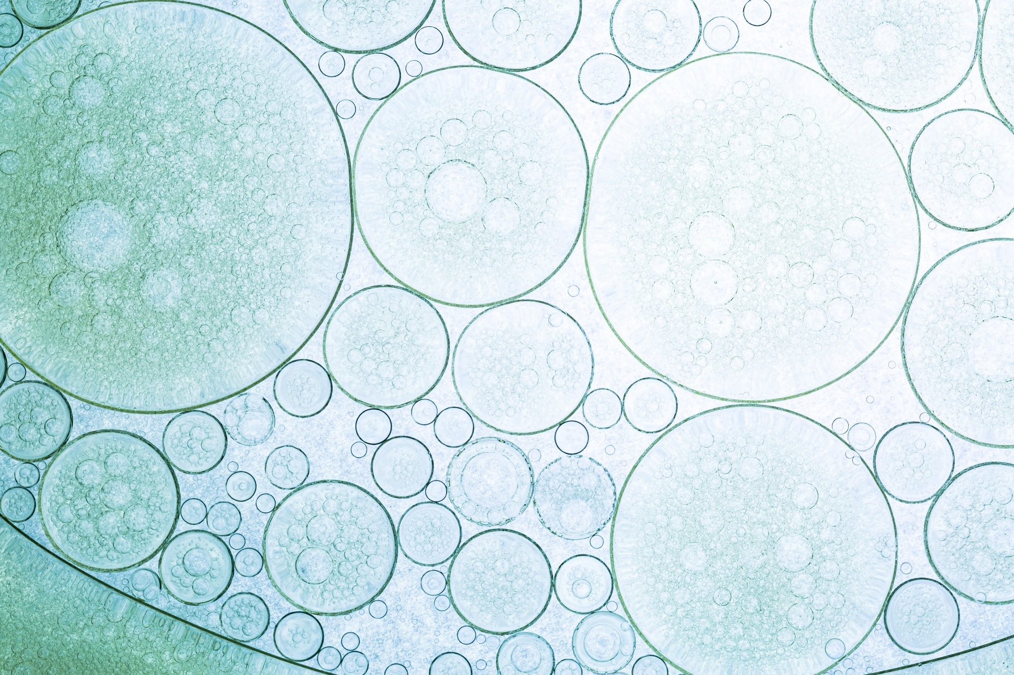 AI Guides Nanomedicine Design for More Precise Cancer Drug Delivery