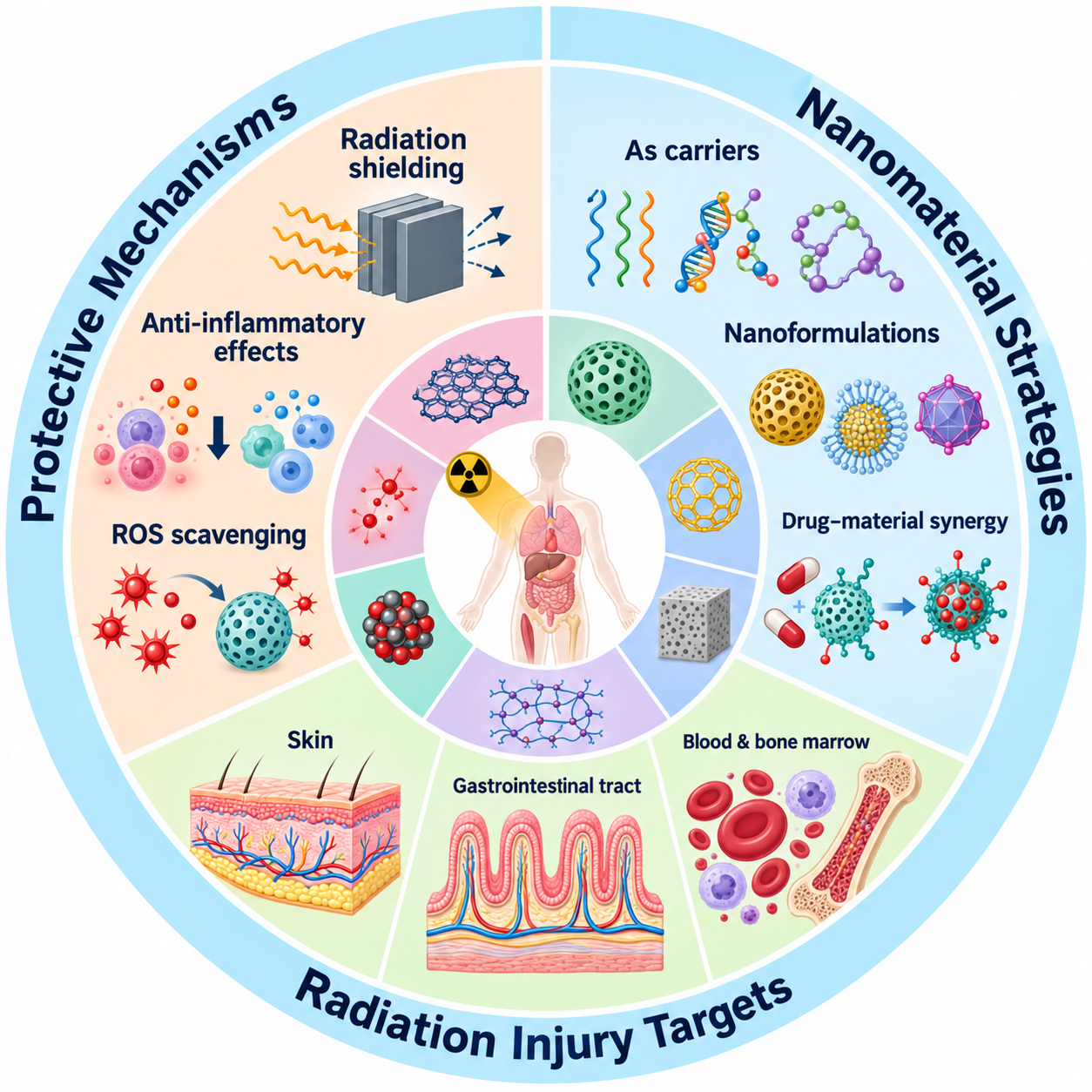 Paper: Protective mechanisms and therapeutic promise of nanomaterials in radiation-induced diseases