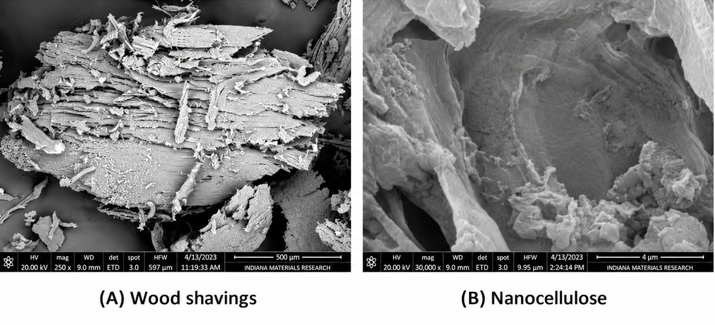 Scanning electron micrographs showing the morphological transition from raw wood to nanocellulose. (A) Raw wood shavings display large, rigid lamellar structures typical of untreated lignocellulosic biomass (magnification: 250×; scale bar: 500 μm). (B) Nanocellulose shows a fibrillated, porous structure with nanoscale features resulting from chemical processing (magnification: 30,000×; scale bar: 4 μm).