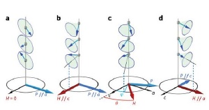 How Electric Polarization of Multiferroic Materials Responds to Changes in an Externally Applied Magnetic Field