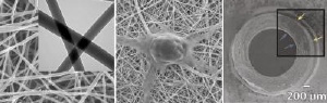 New Material Shows Promise for Nerve Guides