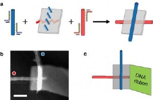 Research Could Lead to Development of Novel Types of Nanoscale Electronic Devices