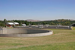 Changing the Behavior of Nanoparticles in Municipal Sewage Treatment Plants