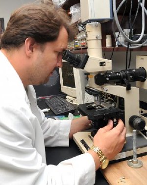 Research May Lead to New Ways to Move or Position Single Molecules