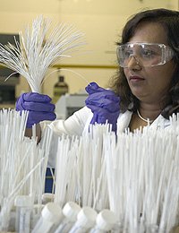 Funding Enable Spin-Out to Commercialise New Ground-Breaking Nano-Porous Adsorbent Hollow Fibre Technology