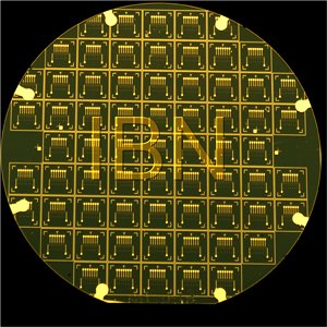 Nanogap Sensor Array Wafer Chip Detecting DNA Rapidly and Cost-Effectively