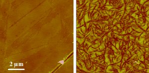 Using AFM to Study Detail Structures Well Below the Surface