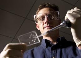 New Micro Device for Quick Test of Cancer Biomarkers in Blood