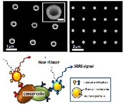Extensive Overview of Plasmons in Metallic Nanomaterials