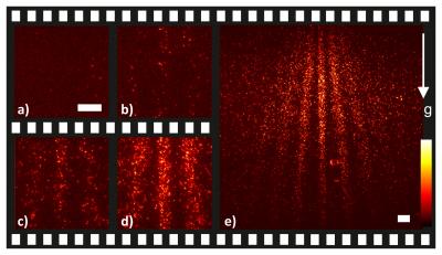 Single-Molecule Imaging of Quantum Interference