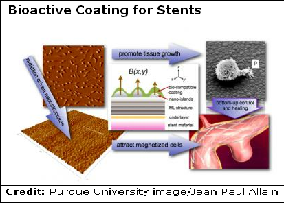 U.S. Army Funds Purdue University Research in Nanotechnology for Brain Treatment