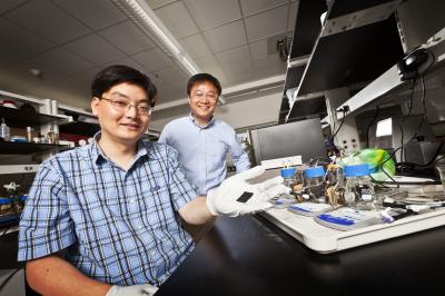 Low-Cost, High-Performance Nanorod Catalyst for Use in Fuel Cells